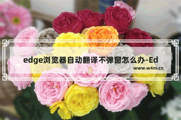 edge浏览器自动翻译不弹窗怎么办-Edge浏览器自动翻译不弹出来解决方法