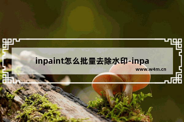 inpaint怎么批量去除水印-inpaint批量去除水印的方法教程