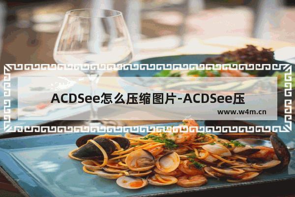 ACDSee怎么压缩图片-ACDSee压缩图片的方法教程