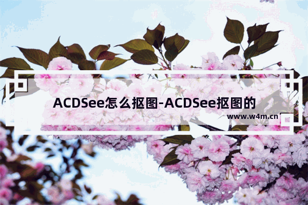 ACDSee怎么抠图-ACDSee抠图的方法教程