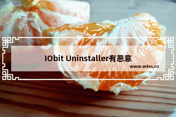 IObit Uninstaller有恶意插件怎么办-IObit Uninstaller恶意插件安装提醒教程