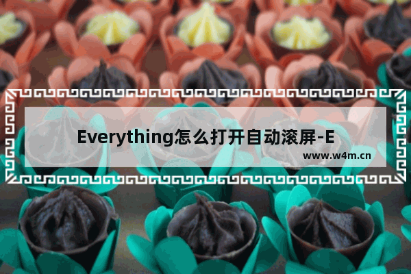 Everything怎么打开自动滚屏-Everything开启视图自动滚屏