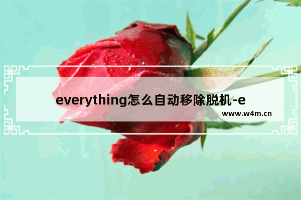 everything怎么自动移除脱机-everything设置NTFS自动移除脱机方法