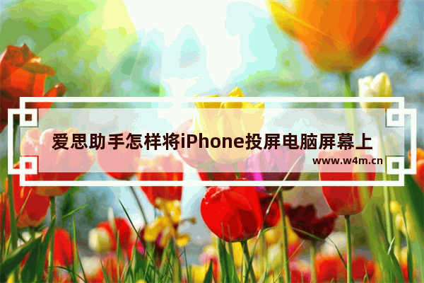 爱思助手怎样将iPhone投屏电脑屏幕上-爱思助手将iPhone投屏电脑方法