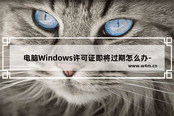 电脑Windows许可证即将过期怎么办-windows许可证即将过期解决方法