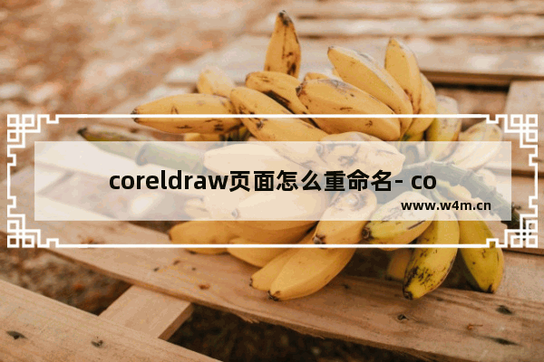 coreldraw页面怎么重命名- coreldraw页面重命名方法