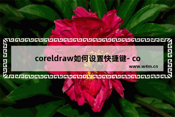 coreldraw如何设置快捷键- coreldraw快捷键设置方法