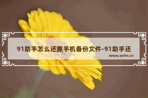 91助手怎么还原手机备份文件-91助手还原手机备份文件的方法教程