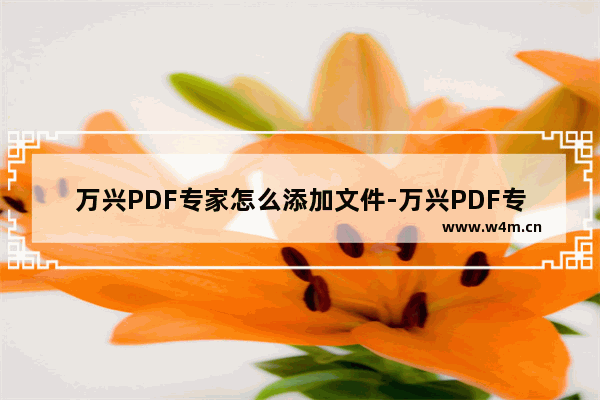 万兴PDF专家怎么添加文件-万兴PDF专家添加文件的方法教程