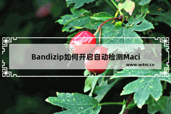 Bandizip如何开启自动检测Macintosh代码页-开启自动检测Macintosh代码页方法