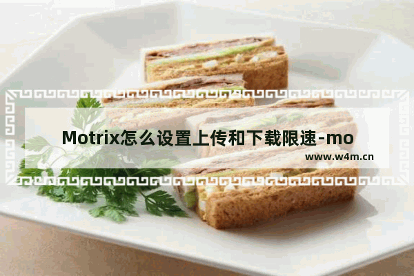 Motrix怎么设置上传和下载限速-motrix设置上传限速方法