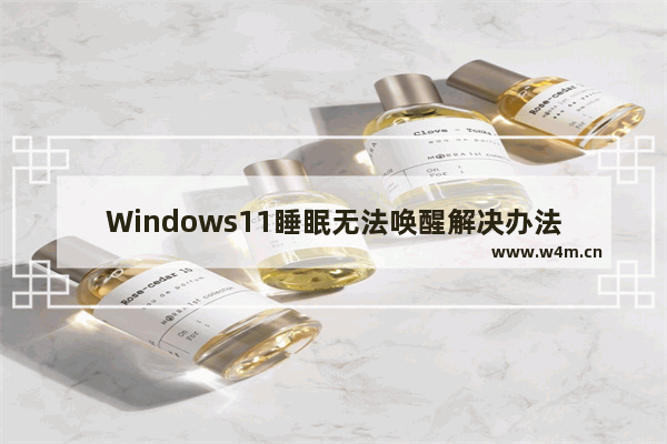 Windows11睡眠无法唤醒解决办法