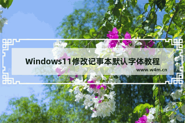 Windows11修改记事本默认字体教程