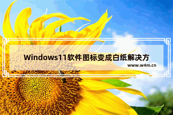 Windows11软件图标变成白纸解决方法