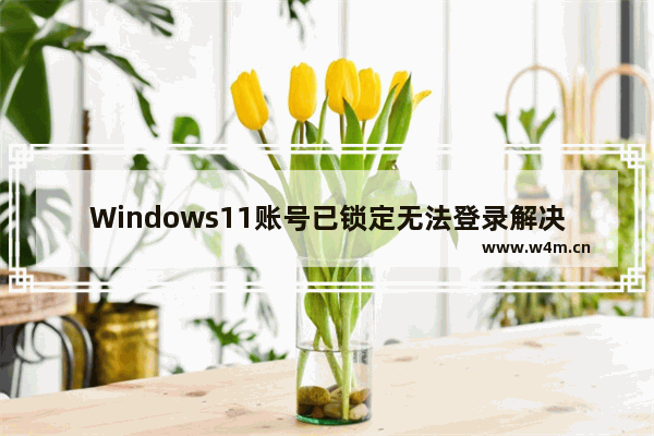 Windows11账号已锁定无法登录解决方法