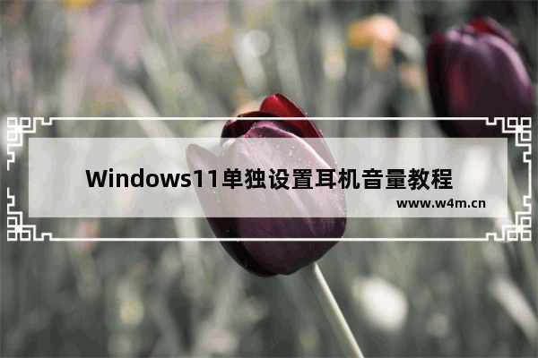 Windows11单独设置耳机音量教程