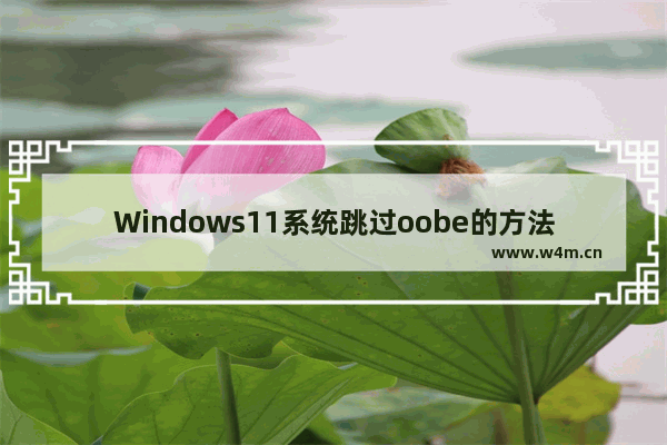 Windows11系统跳过oobe的方法介绍