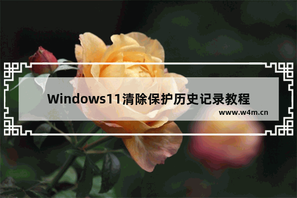 Windows11清除保护历史记录教程