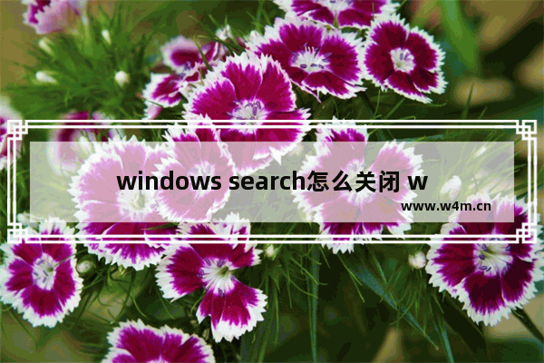 windows search怎么关闭 windows search关闭方法