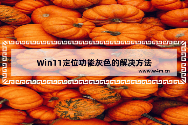 Win11定位功能灰色的解决方法