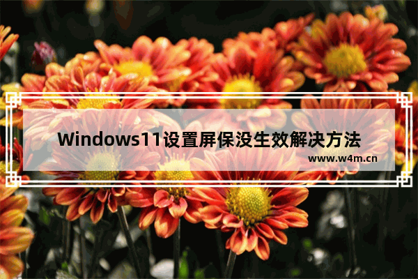 Windows11设置屏保没生效解决方法