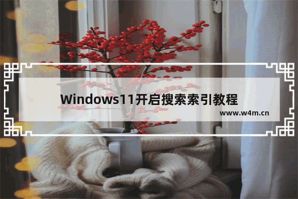 Windows11开启搜索索引教程