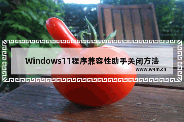 Windows11程序兼容性助手关闭方法