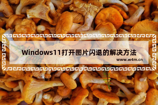 Windows11打开图片闪退的解决方法