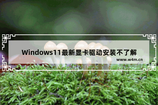 Windows11最新显卡驱动安装不了解决方法