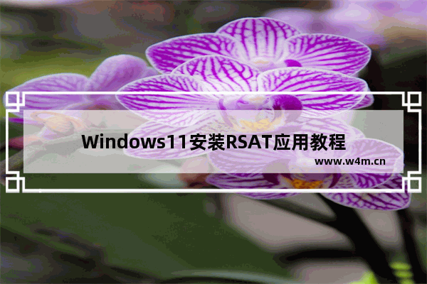 Windows11安装RSAT应用教程