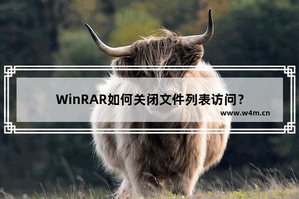 WinRAR如何关闭文件列表访问？