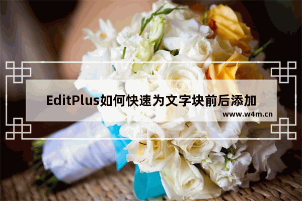 EditPlus如何快速为文字块前后添加引号？