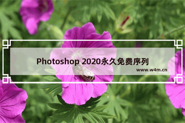 Photoshop 2020永久免费序列号分享