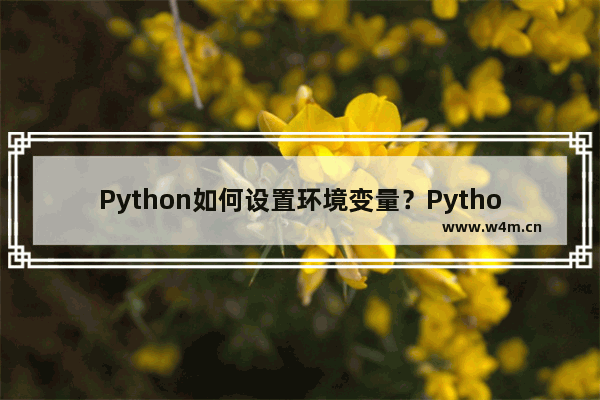 Python如何设置环境变量？Python设置环境变量的技巧