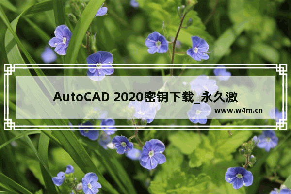 AutoCAD 2020密钥下载_永久激活AutoCAD 2020