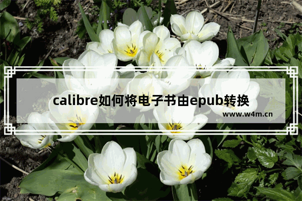 calibre如何将电子书由epub转换为mobi格式？