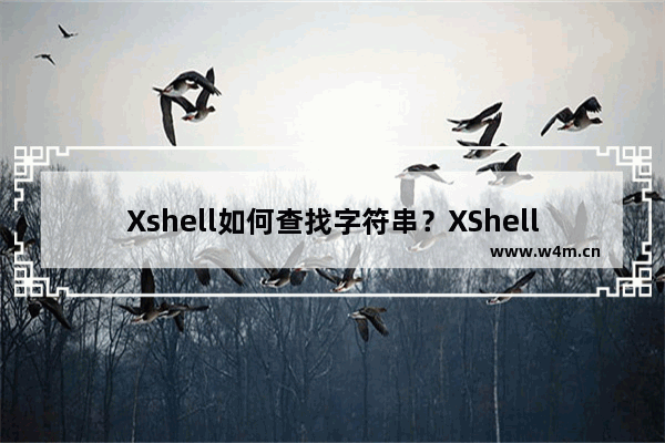 Xshell如何查找字符串？XShell查找字符串的技巧