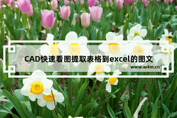 CAD快速看图提取表格到excel的图文教程