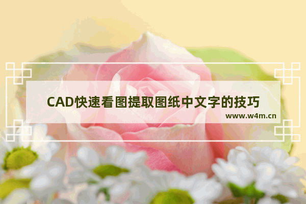 CAD快速看图提取图纸中文字的技巧