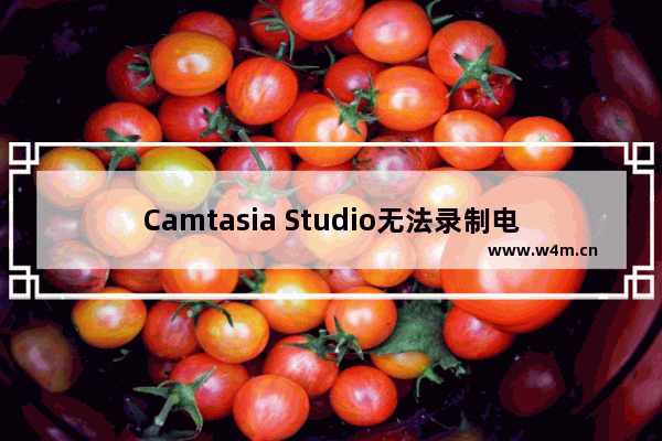 Camtasia Studio无法录制电脑声音怎么办？