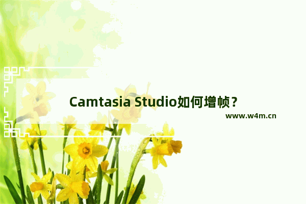 Camtasia Studio如何增帧？Camtasia Studio增帧的方法