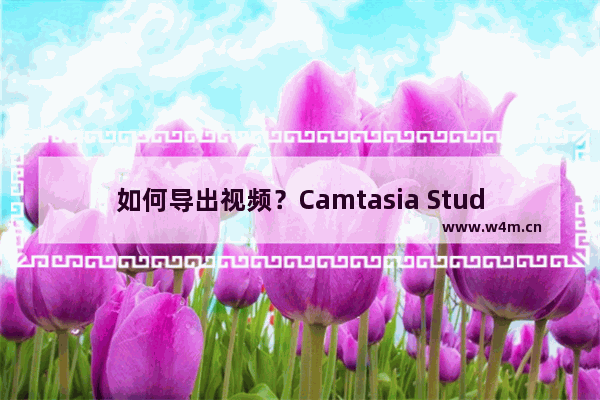 如何导出视频？Camtasia Studio导出视频的方法