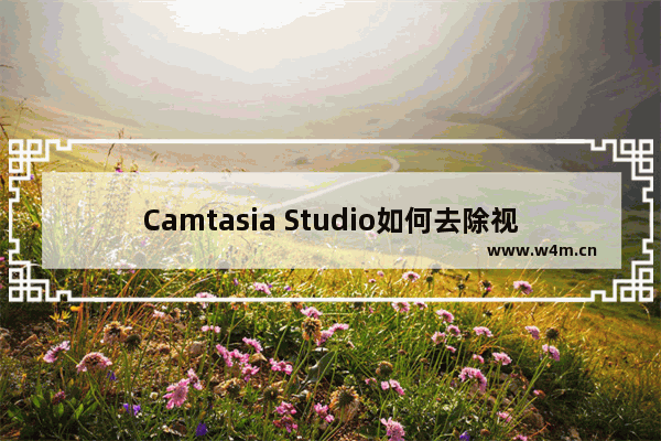 Camtasia Studio如何去除视频中杂音？