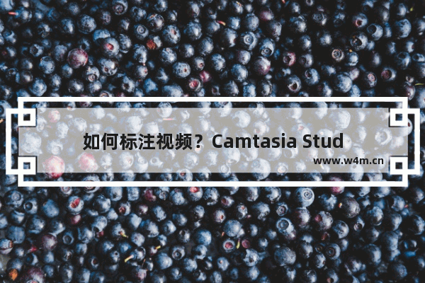 如何标注视频？Camtasia Studio为视频添加标注