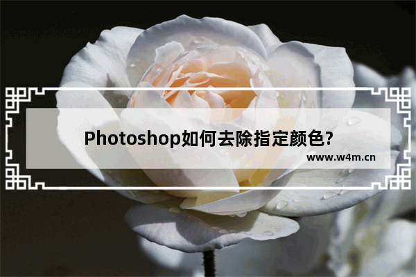 Photoshop如何去除指定颜色?