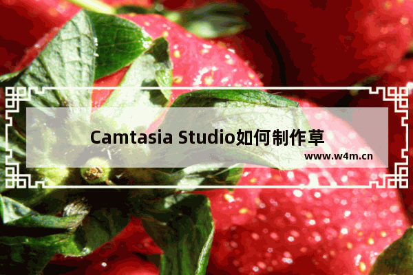 Camtasia Studio如何制作草图运动特效？