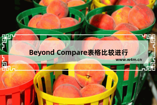 Beyond Compare表格比较进行数据排序的方法