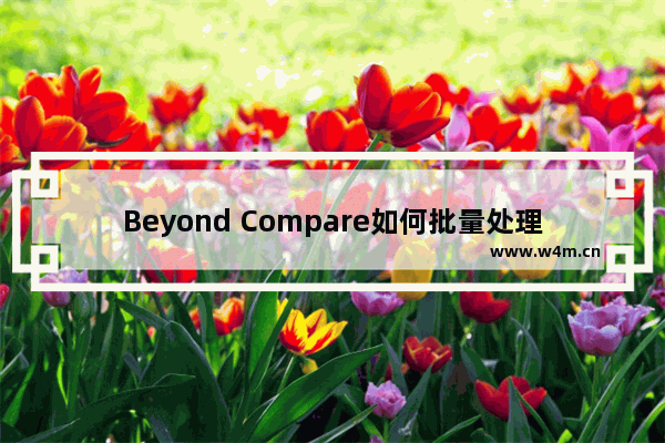 Beyond Compare如何批量处理差异文件？