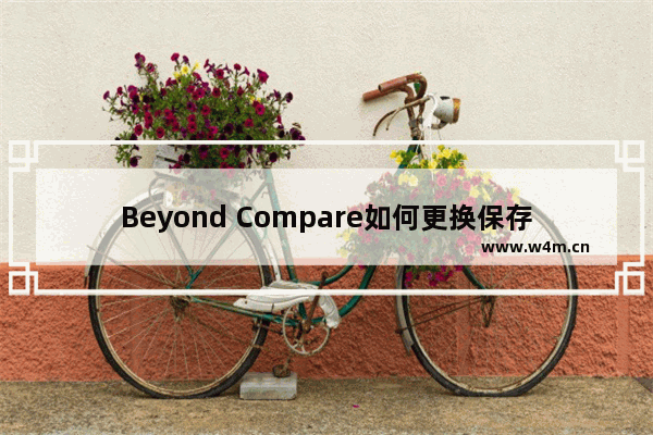 Beyond Compare如何更换保存文件格式？