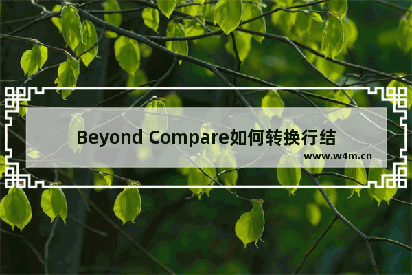 Beyond Compare如何转换行结尾风格？